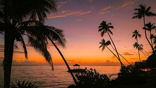 tropical climate