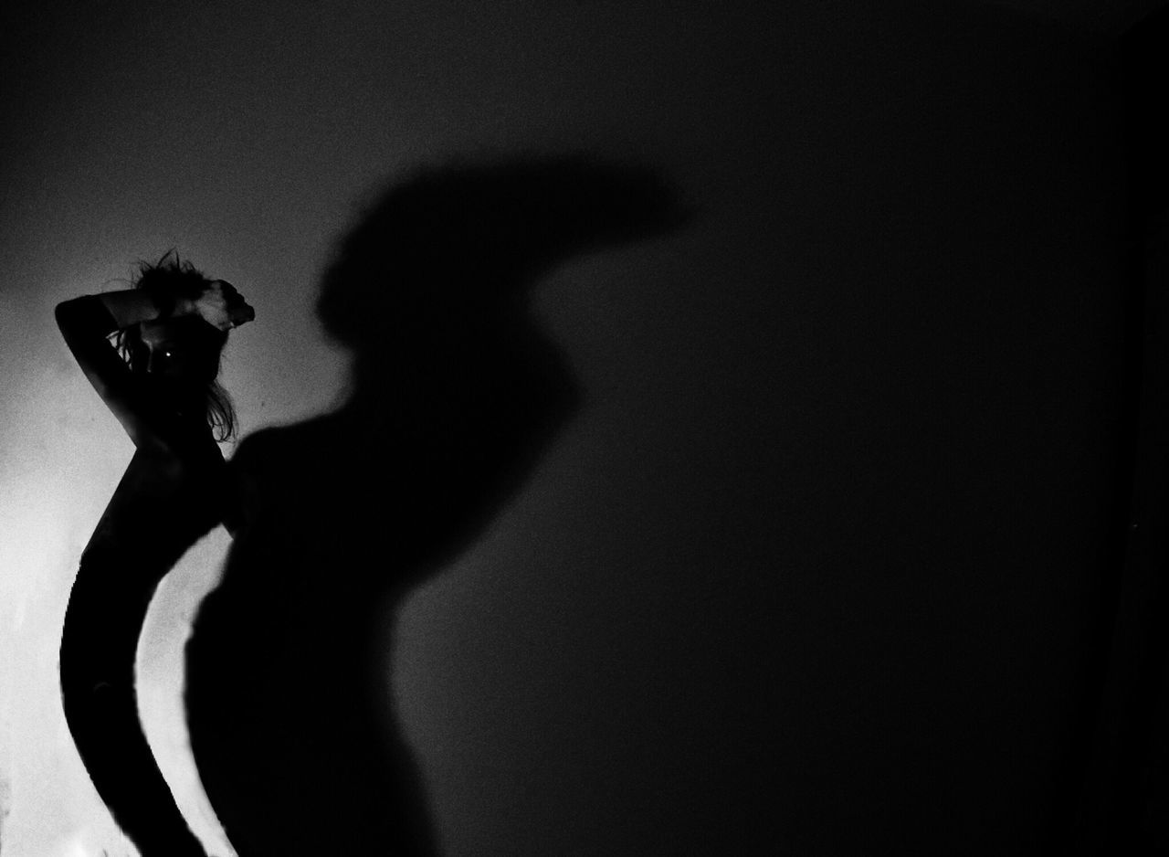 indoors, silhouette, copy space, shadow, human representation, studio shot, wall - building feature, full length, lifestyles, leisure activity, animal representation, side view, focus on shadow, low angle view, night, art, childhood, creativity