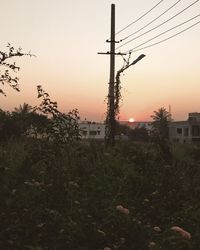 Plants growing on field by building against sky during sunset