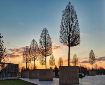 Silhouette bare trees on field against sky during sunset