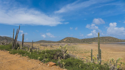 Scenic view of landscape against blue sky