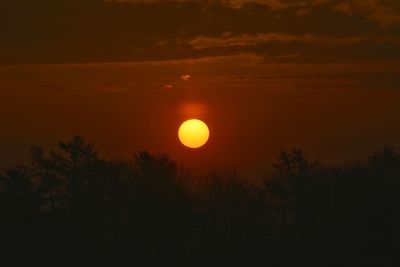 Scenic view of silhouette trees against romantic sky at sunset