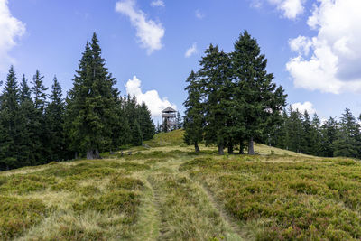 Trees on field against sky