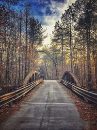 Road amidst trees in forest against sky