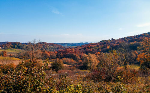 Autumn landscape, hills, trees, fall colors, nature, outdoors, no people, scenic.