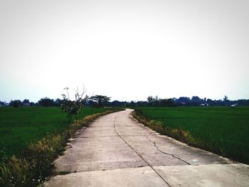 Scenic view of agricultural field against clear sky