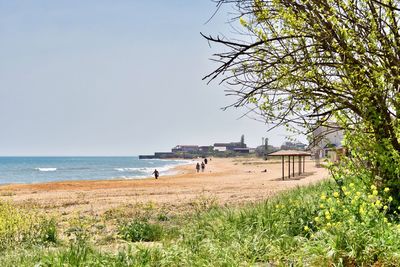 Scenic view of beach against clear sky