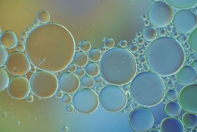 Close-up of bubbles in oil