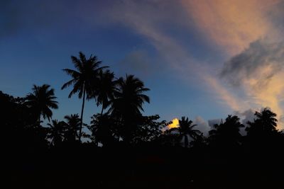 Low angle view of silhouette trees against sky during sunset