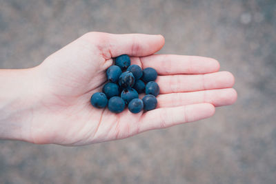 Close-up of hand holding berries