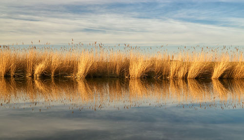 Scenic view of lake against sky