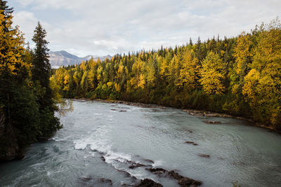 Blue river in fall landscape