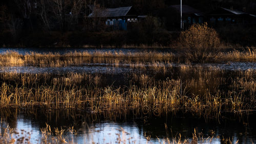 Scenic view of lake