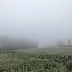 Scenic view of field against sky during foggy weather