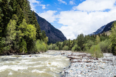 Scenic view of river amidst trees against sky