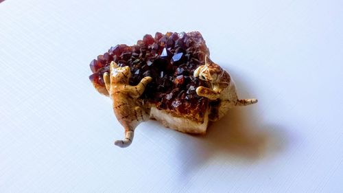 High angle view of ice cream over white background