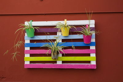 Potted plants against wall