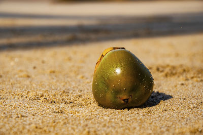 Close-up of apple on sand