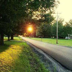 Street amidst trees and plants in park during sunset