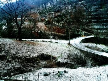 Road amidst bare trees during winter