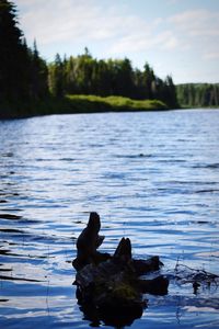 View of a lake