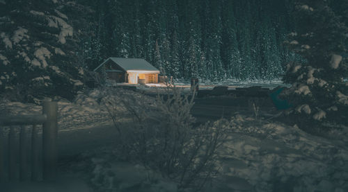 House amidst trees and buildings during winter