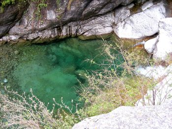 Close-up of sea by rock