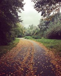 Road amidst trees during autumn