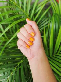 Close-up of young woman hand showing yellow nail paint