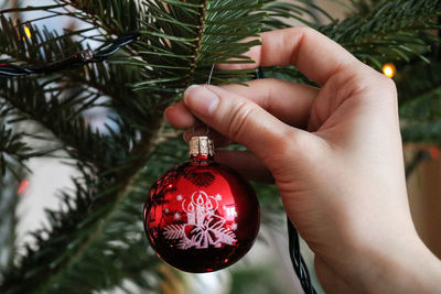 Close-up of hand holding christmas tree