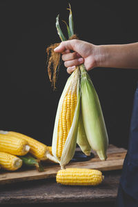 Midsection of woman holding corn against black background