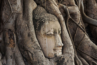 Statue of buddha sculpture