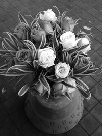 Close-up of flowers