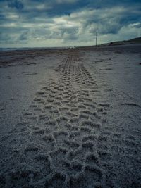 View of tire tracks on beach