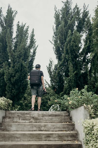 Rear view of man standing on staircase