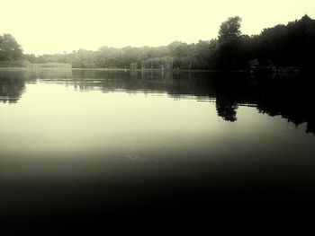 Reflection of trees in calm lake