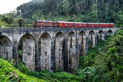 Train on bridge against trees