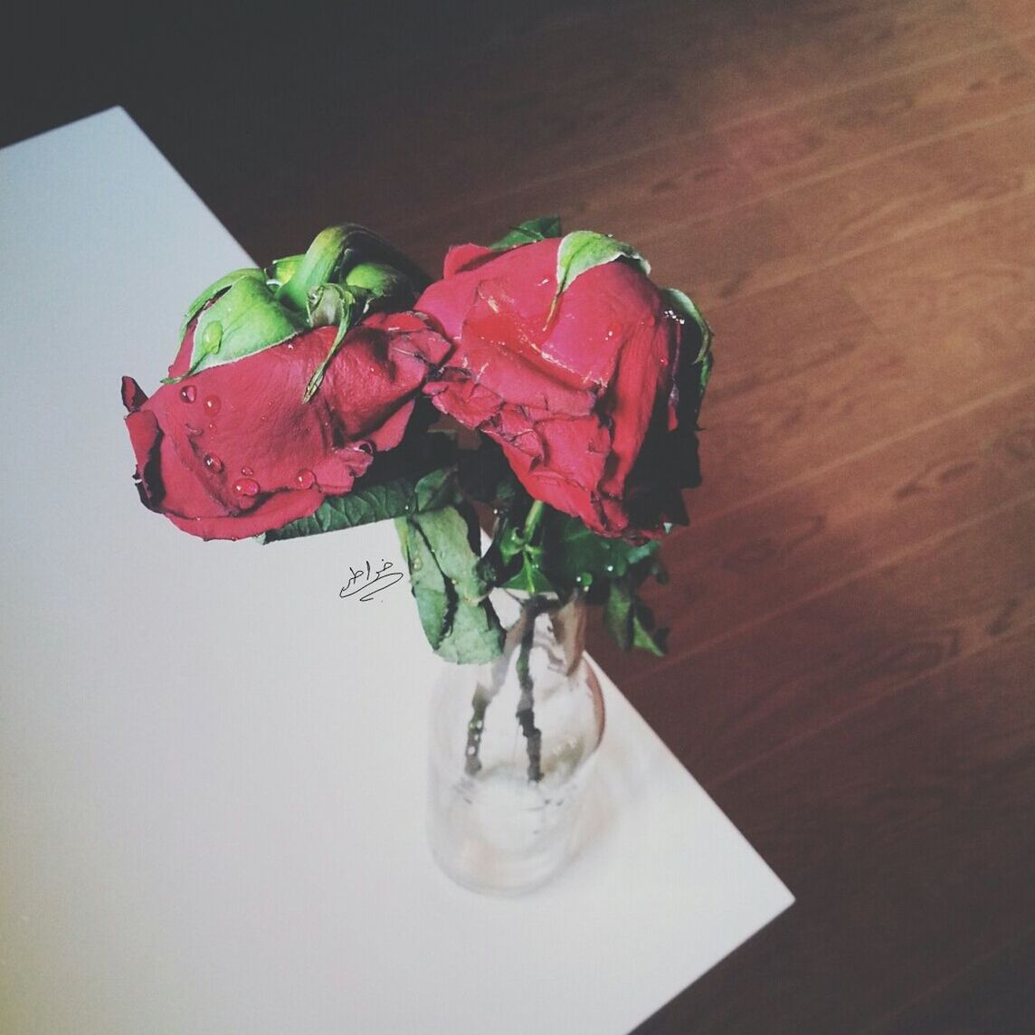 freshness, indoors, table, flower, close-up, still life, leaf, rose - flower, fragility, food and drink, petal, red, vase, high angle view, no people, glass - material, flower head, water, plant, nature