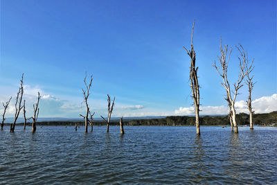 Scenic view of lake against blue sky