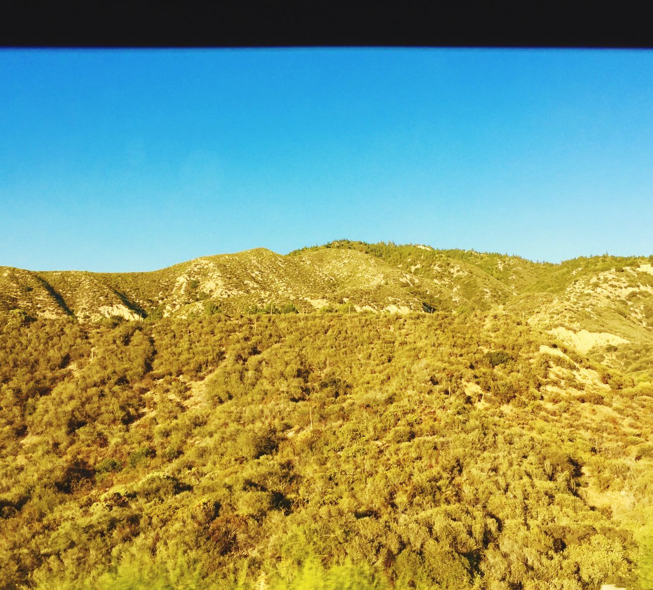 clear sky, blue, copy space, tranquility, tranquil scene, landscape, scenics, beauty in nature, nature, mountain, non-urban scene, tree, transfer print, idyllic, sunlight, remote, day, auto post production filter, outdoors, no people