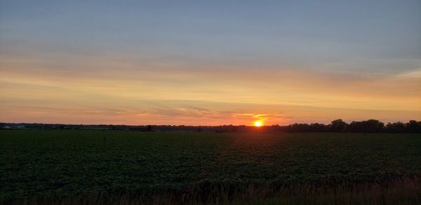 Scenic view of field against sky during sunset