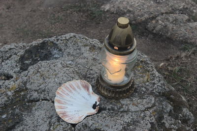 High angle view of shell on rock