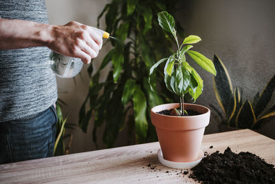 Midsection of man holding potted plant on table