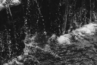 Close-up of water flowing over trees