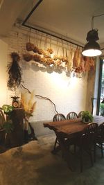 Potted plants on table at home