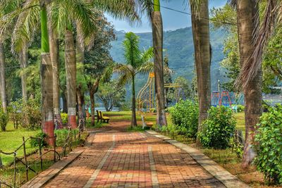Walkway amidst trees against sky