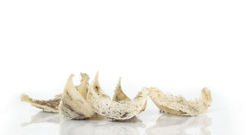 Close-up of fruits against white background