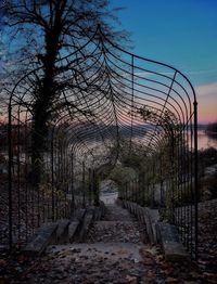Trees against sky during sunset