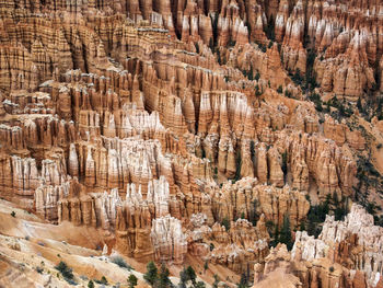 Bryce canyon  rock formations