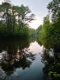 Scenic view of lake in forest against sky